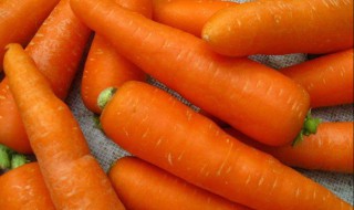 胡萝卜煮水的功效与作用 白萝卜的作用与功效