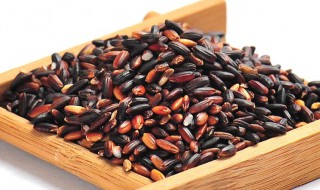 红糯米的功效与作用 红糯米的功效与作用及食用方法