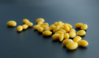 大豆磷脂的功效与作用 大豆磷脂的功效与作用磷