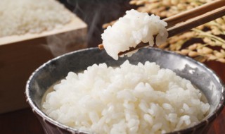 自热米饭有营养价值吗 自热米饭有营养价值吗
