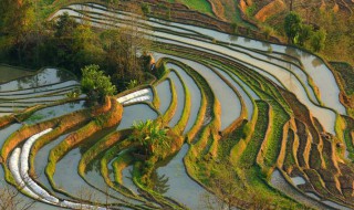 云南梯田在哪里（云南梯田在什么地方）