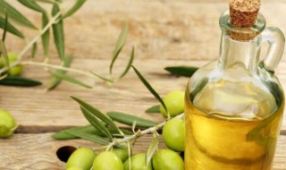 特级初榨橄榄油怎么使用 为什么专家不建议吃橄榄油