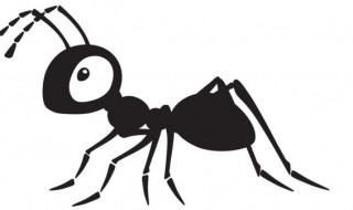 蚂蚁的分工（蚂蚁的分工教案）