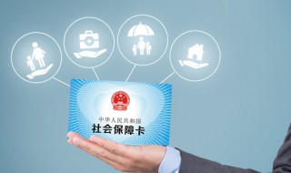 怎么查询自己的社保号 怎么查询自己的社保号码