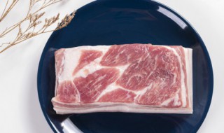 炖猪肉怎样才能软烂松软不柴 炖猪肉的做法 最正宗的做法