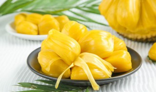 吃完菠萝蜜后的籽怎么处理（吃完菠萝蜜的籽怎么处理蚂蚁庄园）