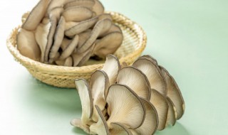 炸蘑菇怎么做不软还酥脆的做法分享（炸蘑菇怎么做不软还酥脆窍门窍门）