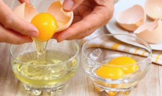 鸡蛋的营养价值及功效介绍 鸡蛋的营养价值及功效介绍图片