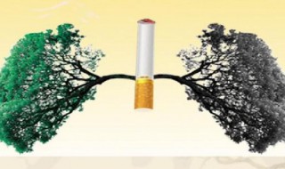 如何保护青少年远离传统烟草产品（如何保护青少年远离传统烟草产品的发展）