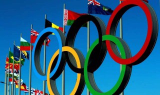 关于奥运会的资料 关于奥运会的资料简单