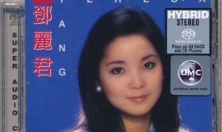 我只在乎你 我只在乎你日语