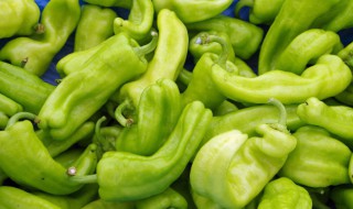 保存辣椒方法 保存辣椒方法视频