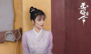 玉昭令什么时候播出（玉昭令什么时候开播）