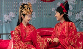 赘婿全文讲的什么（赘婿全文讲的什么故事）