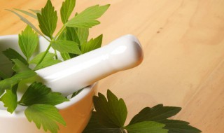 吃鲜当归叶时有什么需要注意的 吃新鲜当归有什么禁忌