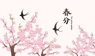 为什么要在春分这一天竖鸡蛋（春分时为什么要立蛋）