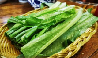 油麦菜粉丝的做法家常窍门 油麦菜粉丝的做法大全