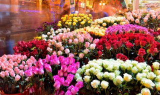 独一无二的花店名字 独一无二的花店名字潮流