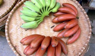 红香蕉硬硬的怎么吃 红香蕉是硬的吗