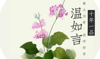 十年一品温如言结局（十年一品温如言结局什么意思不姓宋）