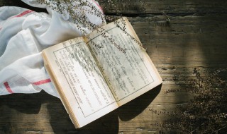 十年一品温如言宋延是谁 十年一品温如言最后结局 不姓宋