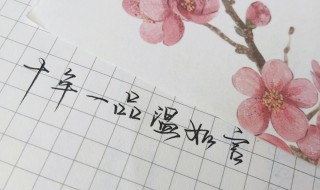 十年一品温如言句子 十年一品温如言句子摘抄