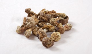 冷冻松茸保存方法（如何冷冻松茸）