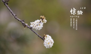 二十四节气的来历（农历二十四节气的来历）