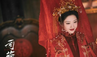 司藤电视剧是什么小说（司藤这部电视剧讲的是什么）