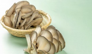 丝瓜蘑菇做法步骤（丝瓜蘑菇做法步骤视频）