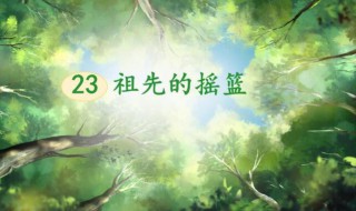 我们祖先的摇篮是什么（我们祖先的摇篮是什么仿写）