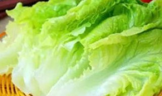生菜炒蛋皮做法步骤（生菜炒蛋皮做法步骤）
