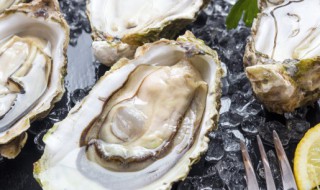 牡蛎的功效与作用及食用方法 牡蛎的功效和作用?
