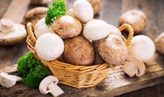 鲜口蘑怎么做好吃 吃口蘑的七大禁忌