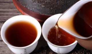 红茶的功效和作用（白茶的功效和作用）