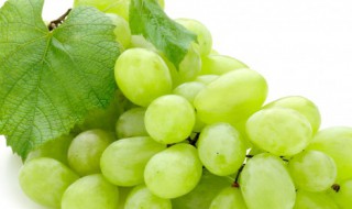 葡萄罐头怎么做好吃 葡萄罐头怎么做菜