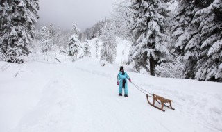 冬雪雪冬中指的是哪四个节气（冬雪雪冬指的是哪四个季节）