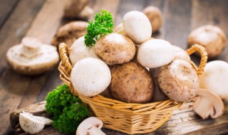 干花菇怎么做好吃 干花菇怎么做好吃?三款花菇常见做法,美味至极哦!