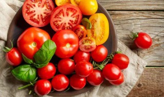 小番茄是转基因吗 绿色的小番茄是转基因吗