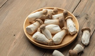 松茸菌的食用方法 松茸如何食用方法
