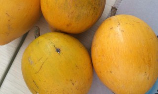 蛋黄果的营养价值 蛋黄果的营养价值与禁忌