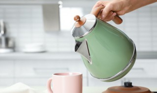 怎么洗热水壶 怎么洗热水壶的水垢视频