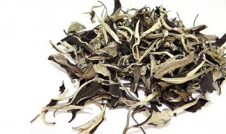 普洱白茶属于什么茶 云南普洱白茶属于什么茶