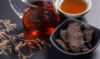 肉桂大红袍属于什么茶 肉桂大红袍属于什么茶?