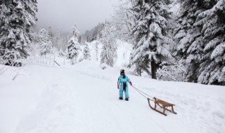 雪的寓意 雪的寓意和象征