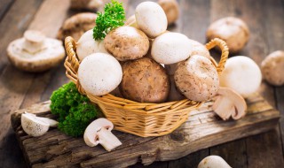 口蘑怎样做好吃 口磨菇怎炒好吃又营养