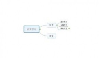 怎么画思维导图 怎么画思维导图二年级小学生