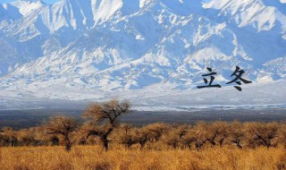 立冬是哪天（1984年立冬是哪天）