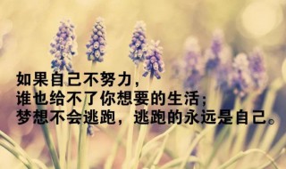 感悟生活的句子30句（感悟生活的句子30句短句）