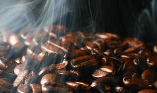 哥伦比亚咖啡豆介绍 哥伦比亚咖啡豆是哪个品种?